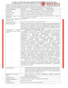 Полис страхования гражданской ответственности при выполнении работ/оказании услуг