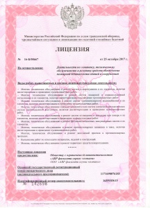 Лицензия МЧС (1 стр)